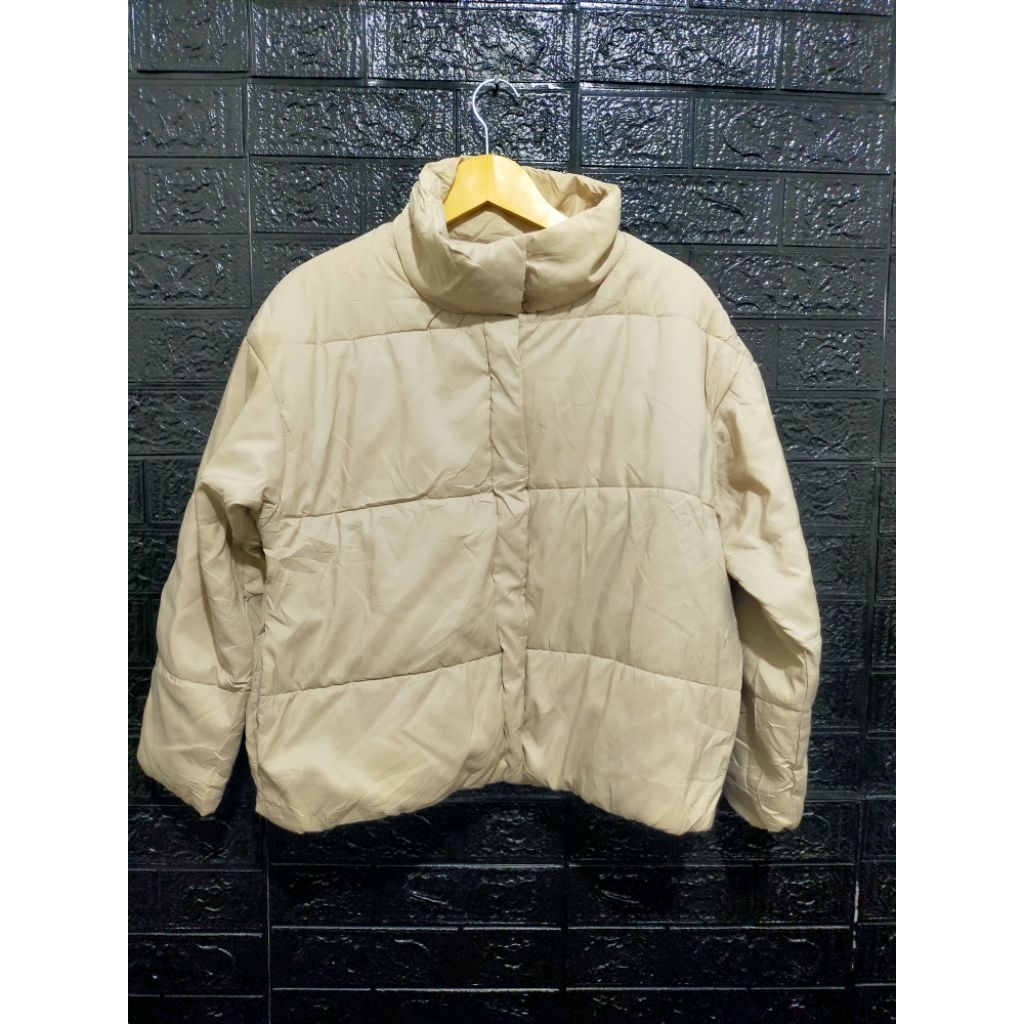 Outer Puffer Earth Music and Ecology