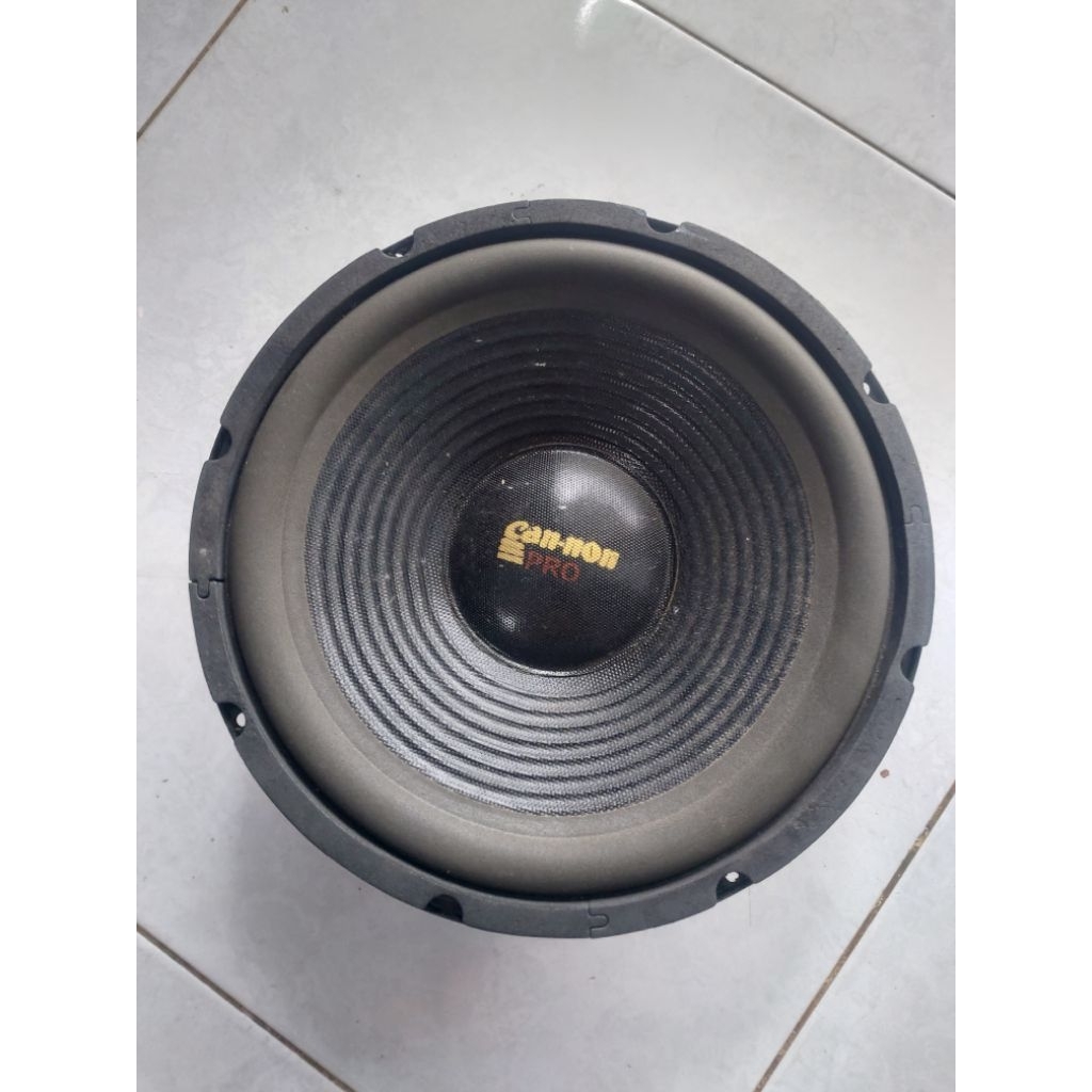 10 inch canon pro bekas suara normal