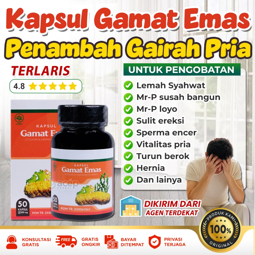 Obat Impoten Susah Berdiri Tegak Gamat Emas Kapsul