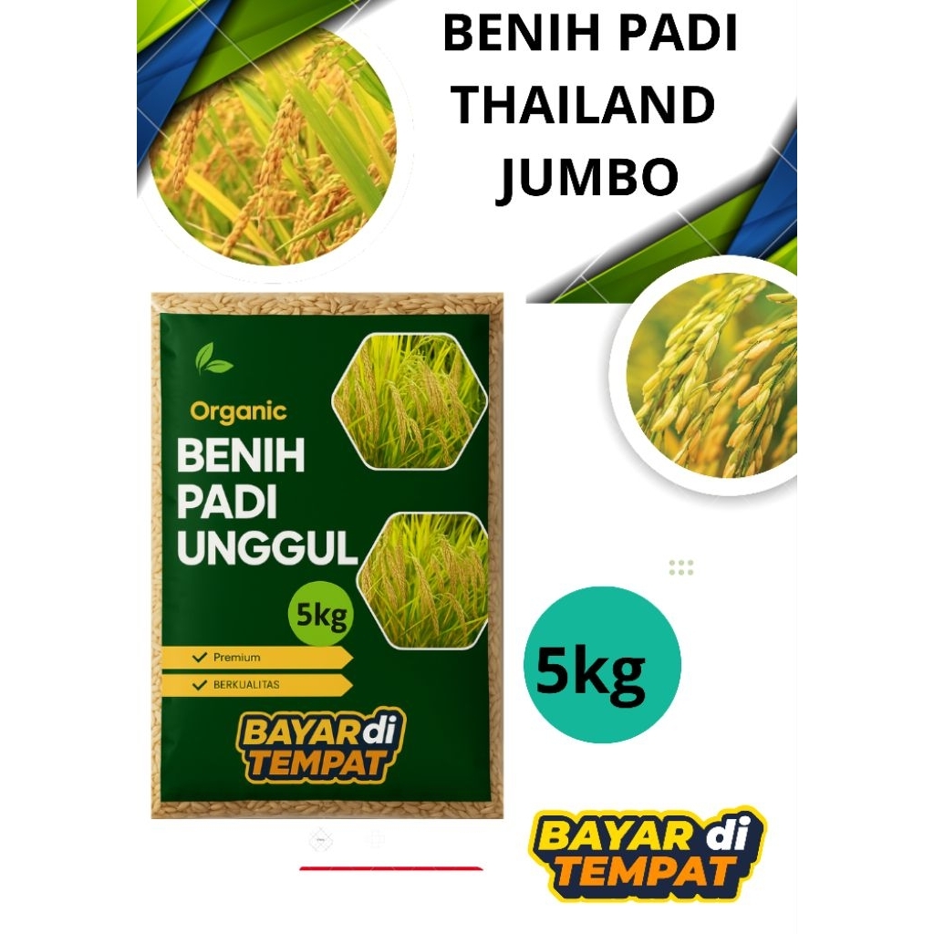 PADI THAILAND JUMBO 5KG