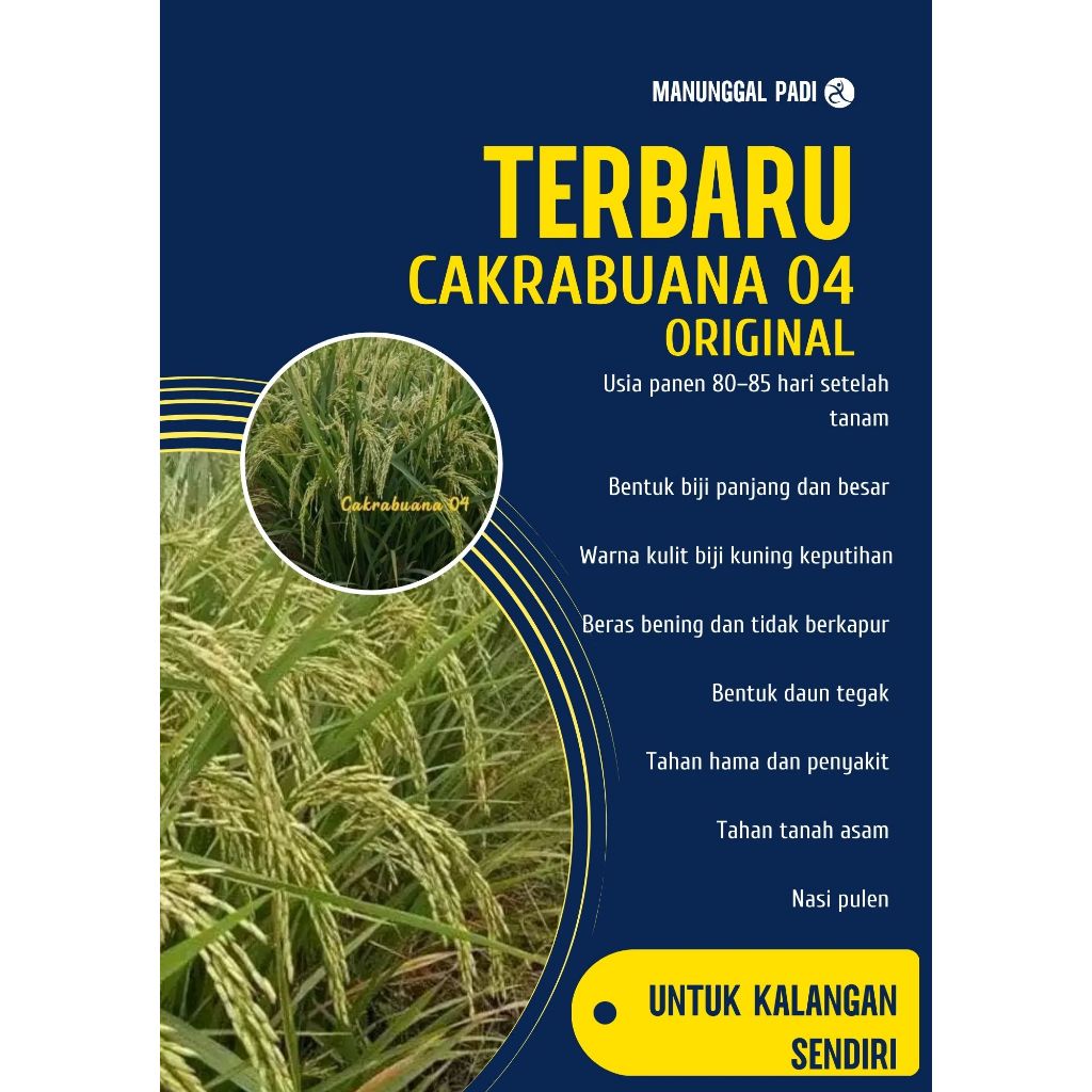 Bibit Benih Padi CAKRABUANA 04 ORIGINAL Kemasan 5 Kg