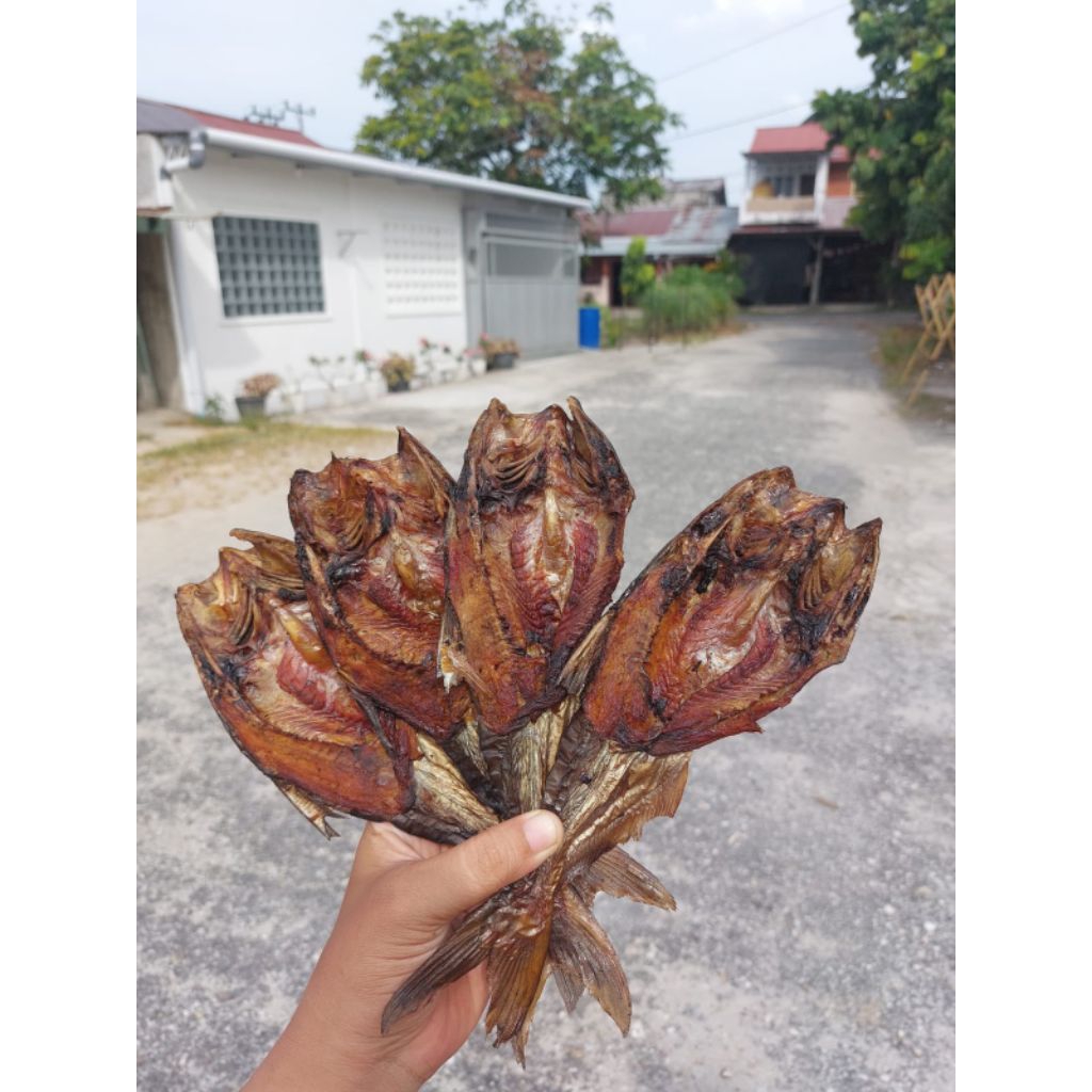 Ikan Salai Patin Asap Khas Pekanbaru Riau 500gr