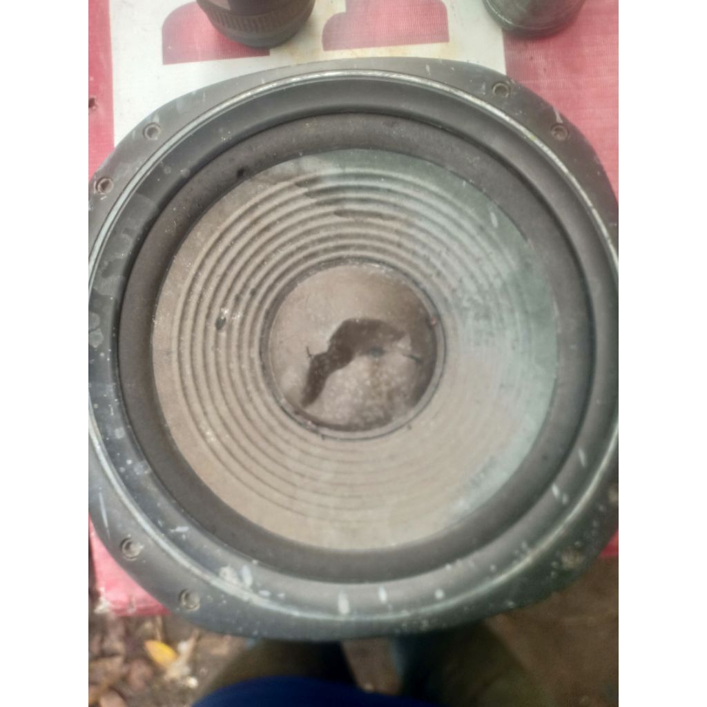 Speaker 10 inch Big band Polytron