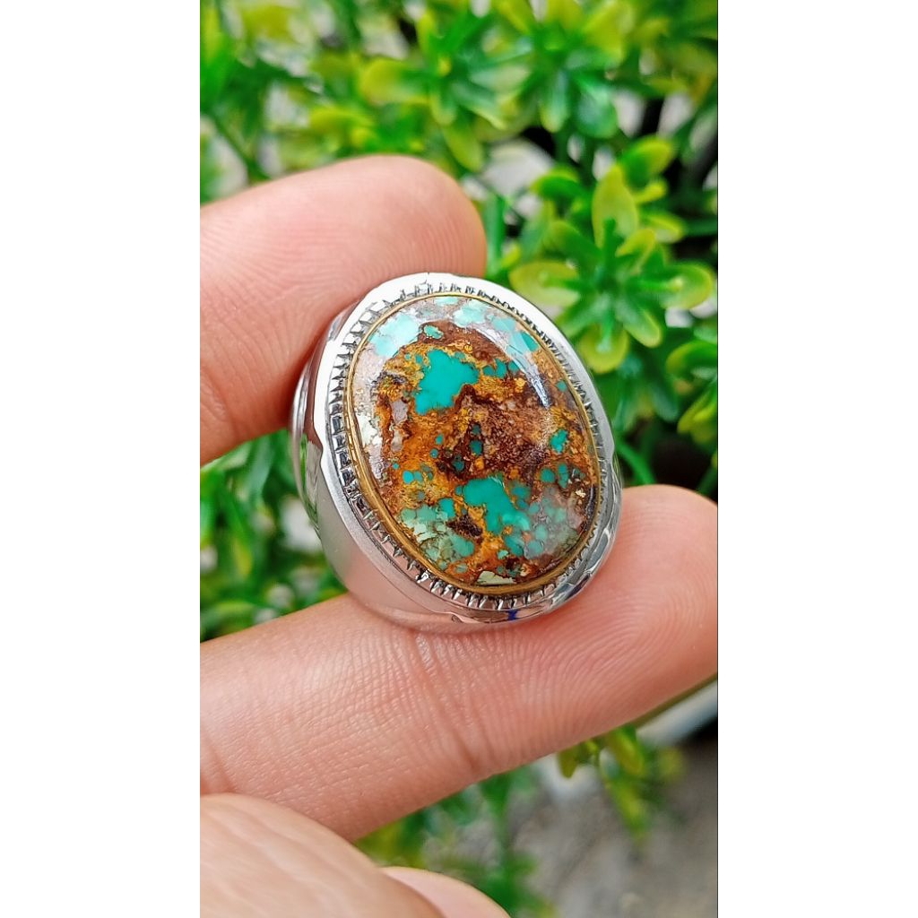 Natural pirus Persia ijo kedondong Sakral