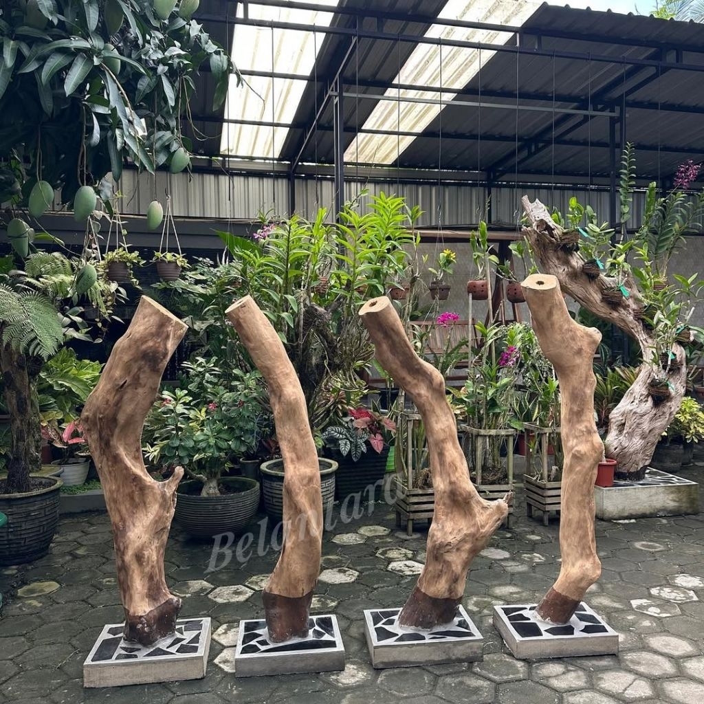 Media tempel anggrek kayu posil/Bonggol kayu media tanam anggrek