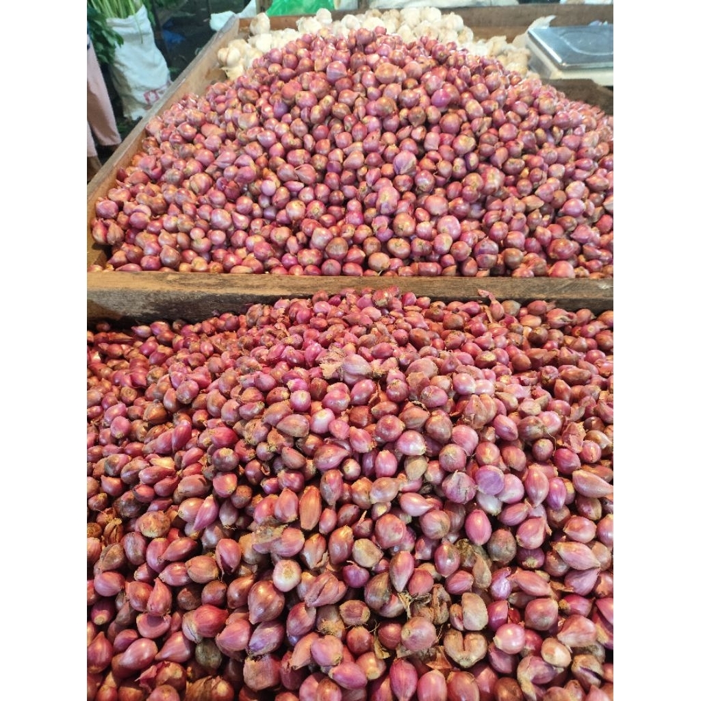 Bawang merah 1 KG