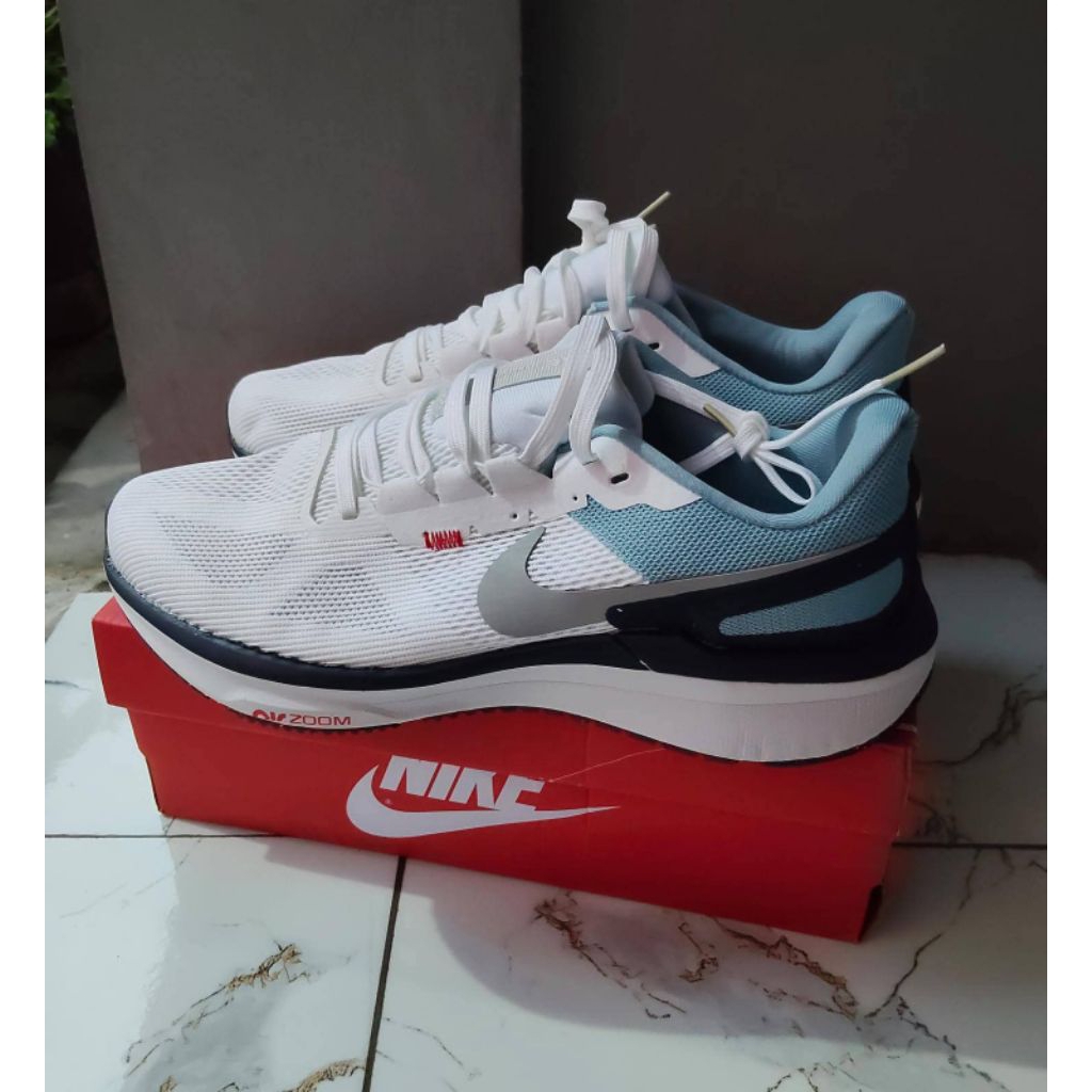 Nike Airzoom Structure25 Ice Pivantered