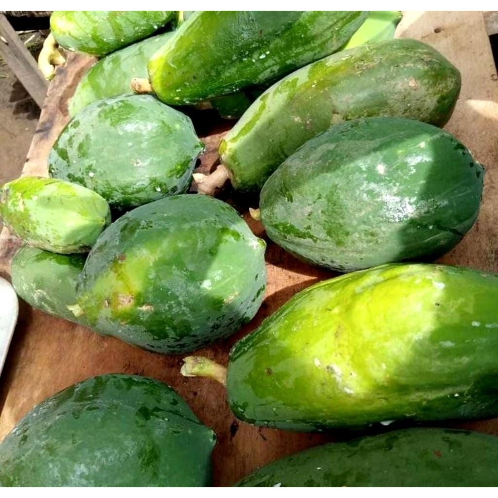 Pepaya Muda Segar | Pepaya Muda untuk Sayur asin manis & Rujak 1 kg