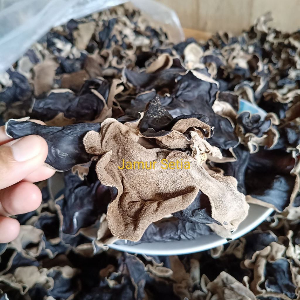 Jamur Kuping Kering | Jamur Kuping Kering 1 Kg | Jamur Kuping Kering Hitam Bersih