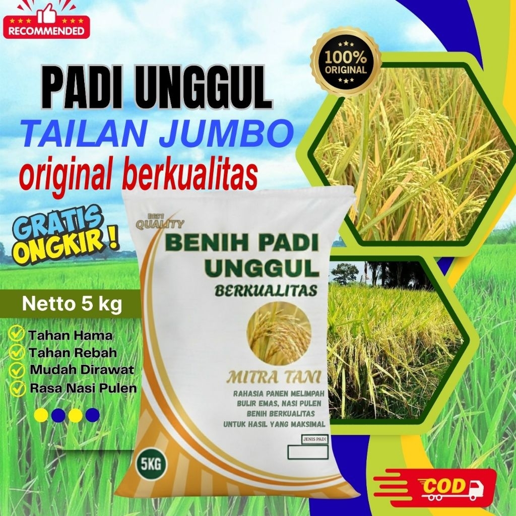 bibit padi THAILAND JUMBO original kemasan 5kg