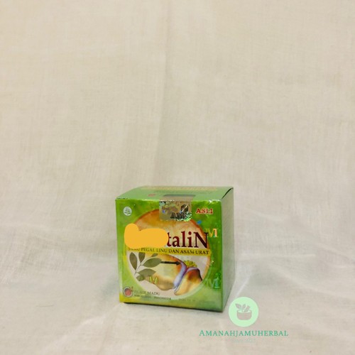 MontalinTeng book Asam Urat Nyeri Tulang 40 Kapsul