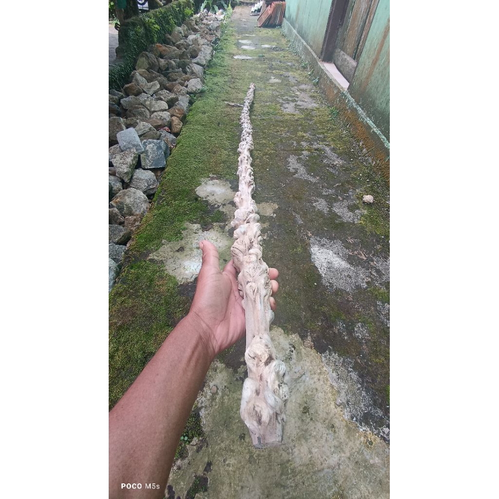 kayu langensari Panjang 2 meter