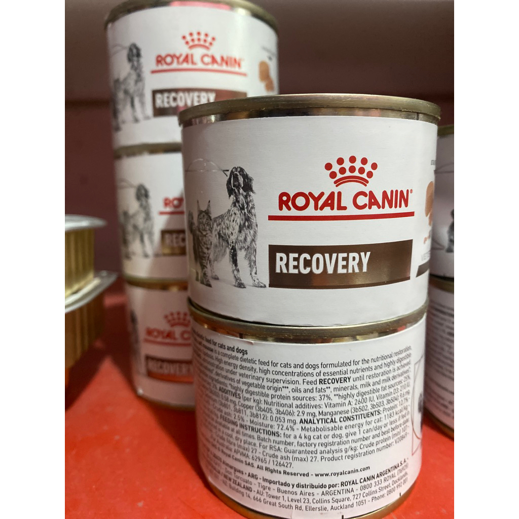 royal canin recovery wet food