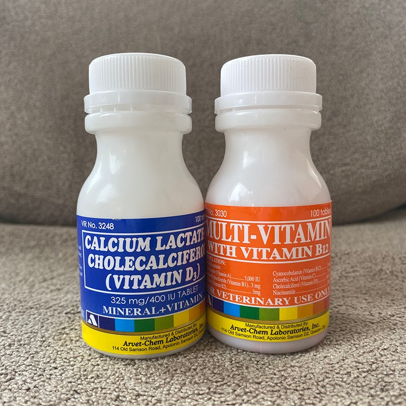 PAKET MULTIVITAMIN & KALSIUM LACTATE AYAM FILIPINA