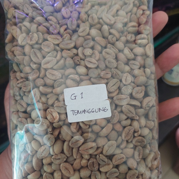 GREEN BEAN KOPI ROBUSTA TEMANGGUNG GRADE 1 BIJI KOPI PREMIUM ASLI TEMANGGUNG