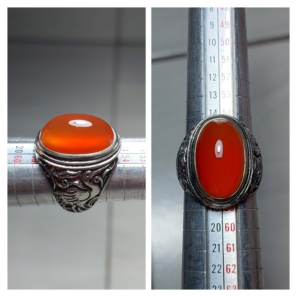 Natural Raflesia cempaka orson