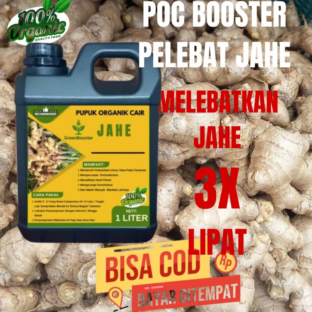 Pupuk Jahe Gajah / Pupuk Jahe Merah / Pupuk Jahe Emprit / Memperbesar Rimpang dan Anakan / Menyuburk