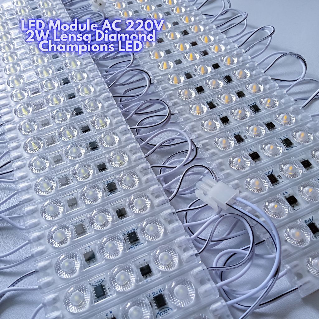 Lampu LED Module Diamond AC 220V IP65 2W