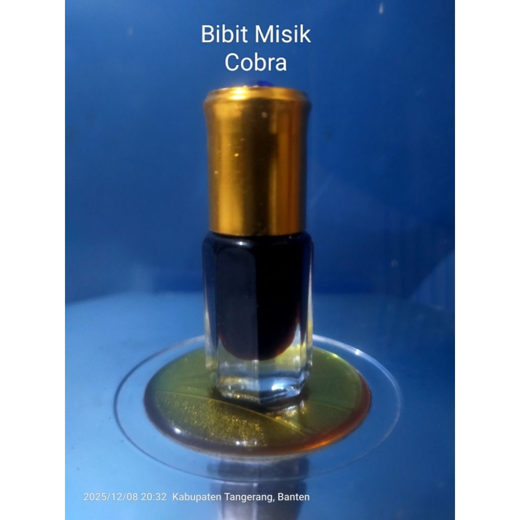 Misik COBRA Bibit 100%