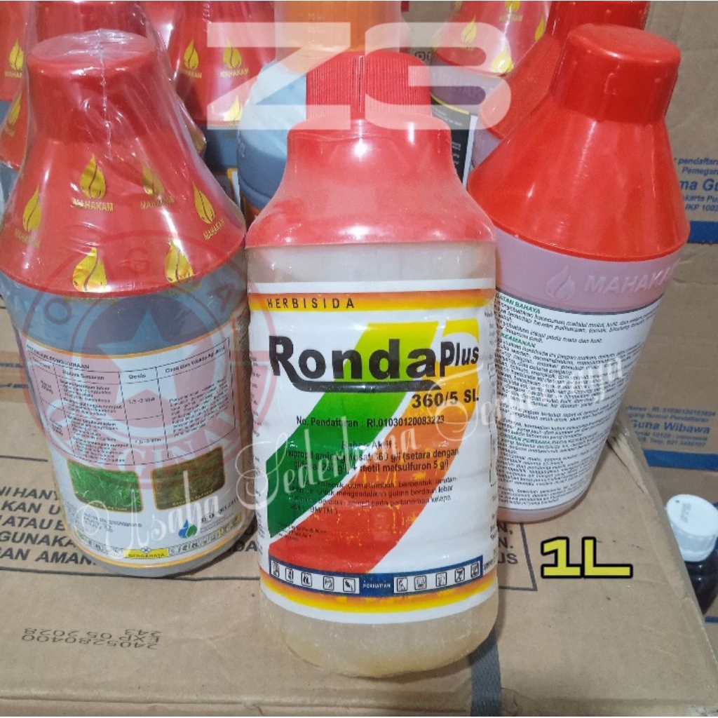 RONDA PLUS 370/5 SL Herbisida Sistemik