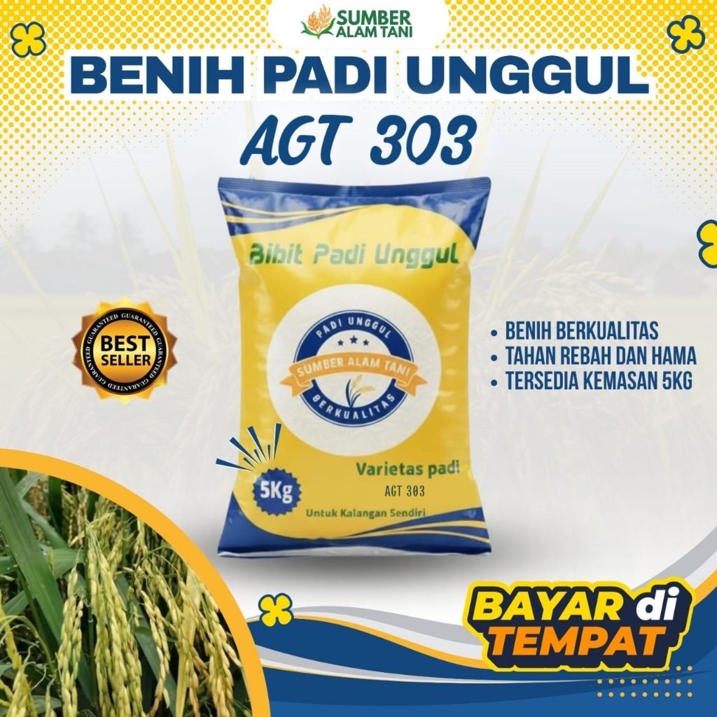 PADI AGT 303 -5Kg ORIGINAL