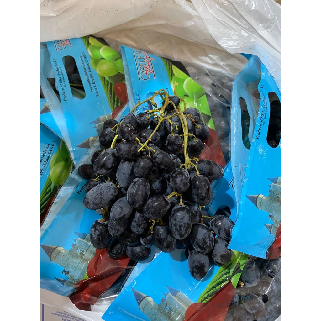 ANGGUR HITAM. ANGGUR GARING MANIS SEEDLESS. AUTUMN BLACK GRAPE