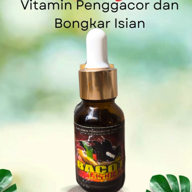 Vitamin Burung Bacot Fighter