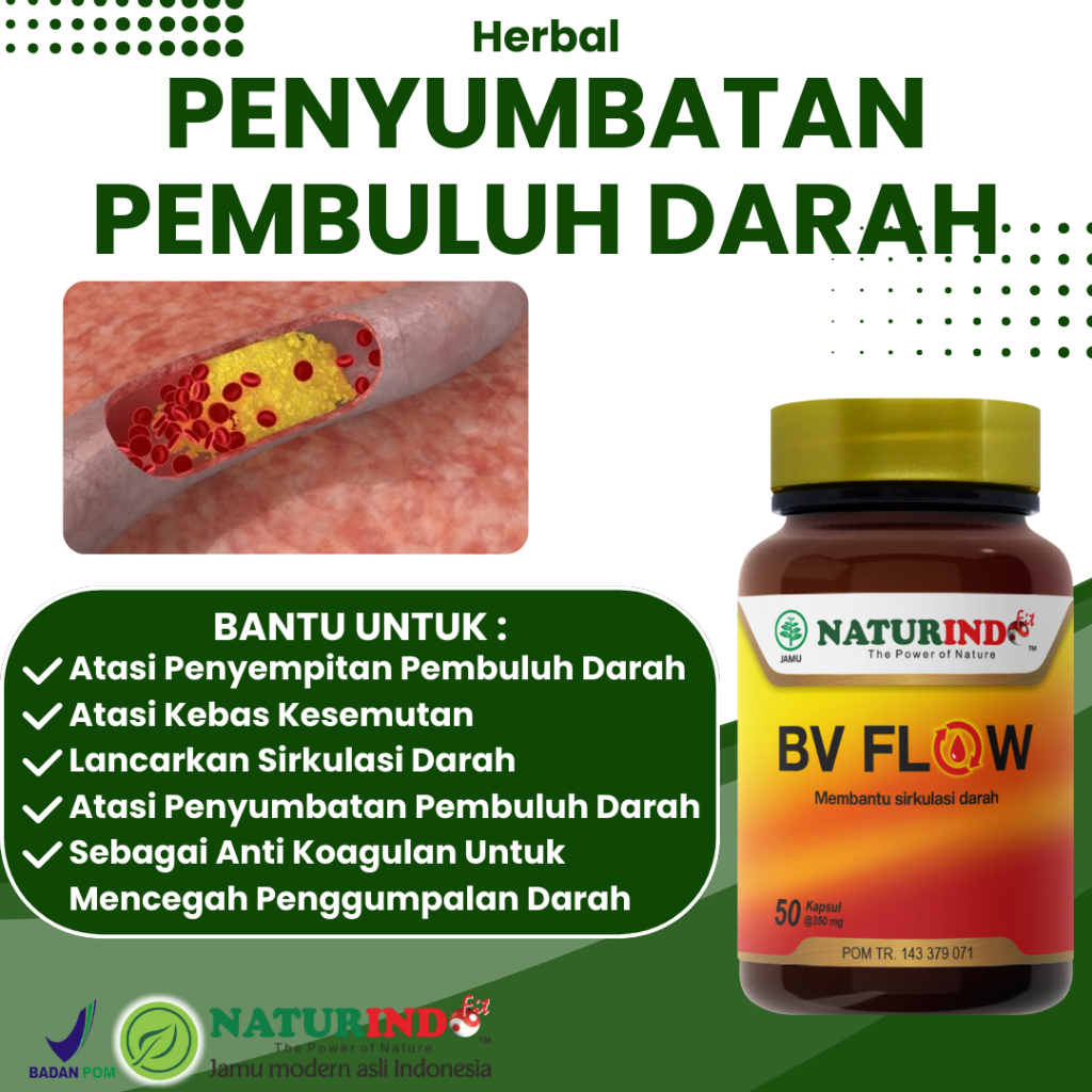 Herbal Penyumbatan Pembuluh Darah Membantu Lancarkan Peredaran Darah BV FLOW