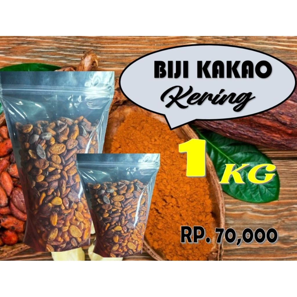 biji coklat kakao kering