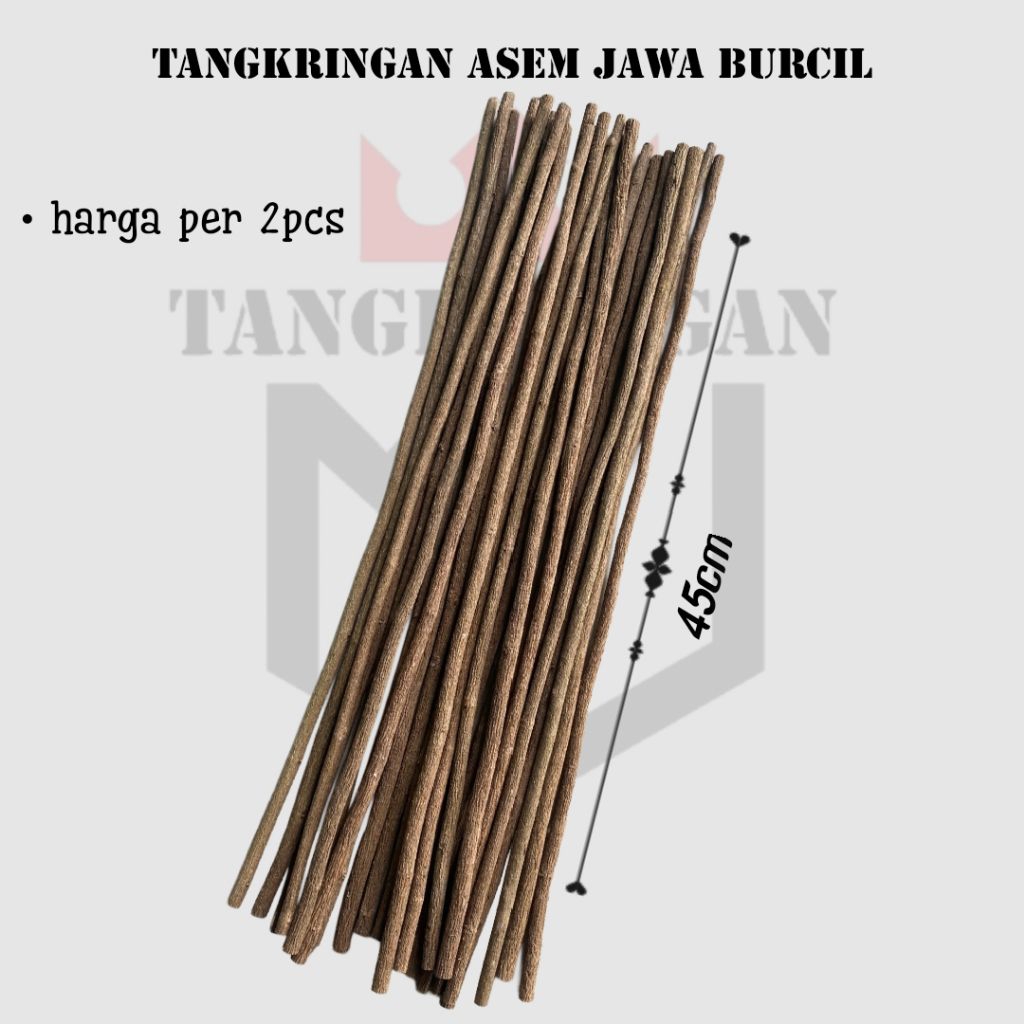 Tangkringan asem jawa super burcil