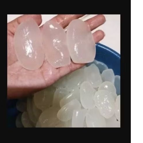 KOLANG KALING SEGAR BAHAN MANISAN-KOLAK-BAJIGUR 1KG KEMASAN TANPA AIR 100%KOLANG KALING