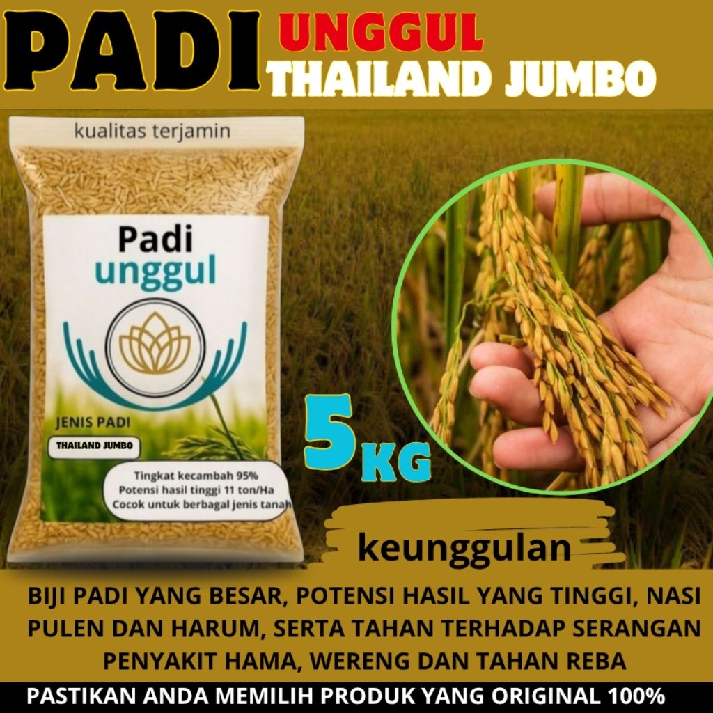 BENIH PADI THAILAND JUMBO 5KG 100%ORIGINAL