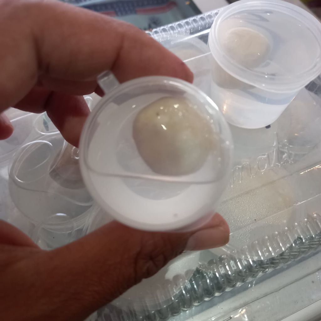 pulut pikat burung 30gr