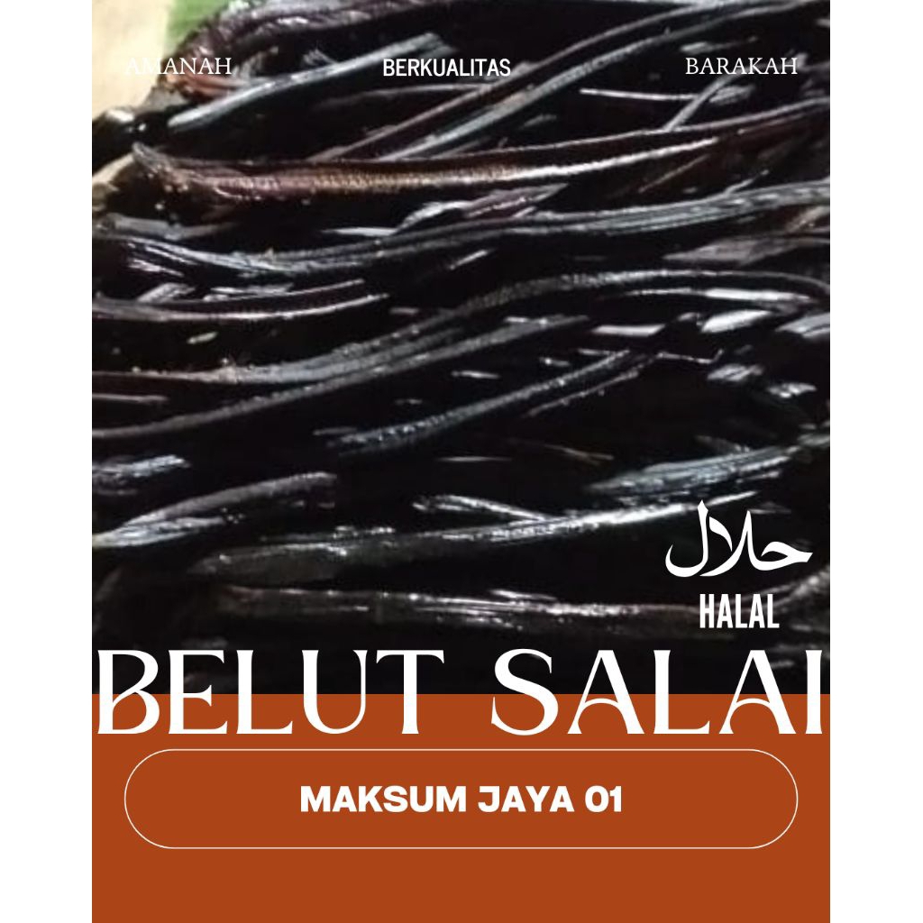 belut kering super / belut salai / belut asap