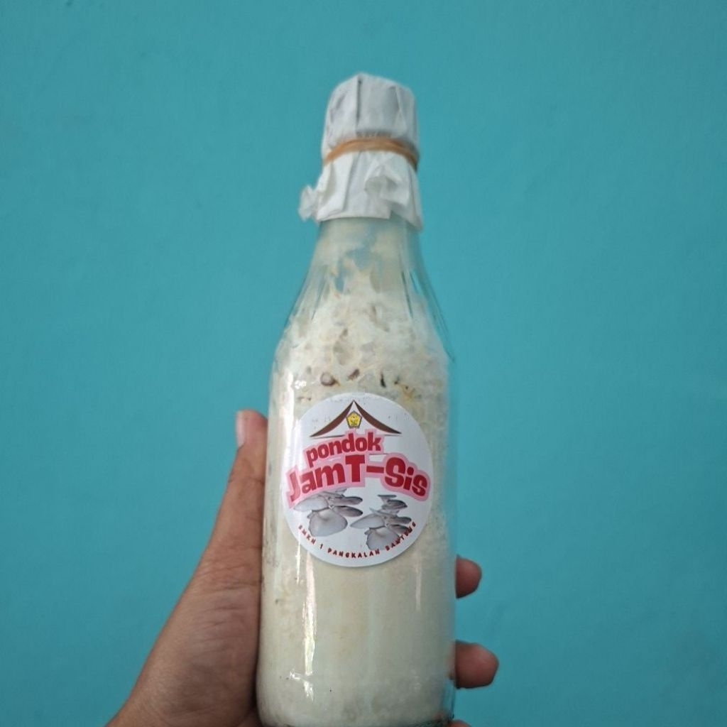 Bibit F1 Jamur Tiram