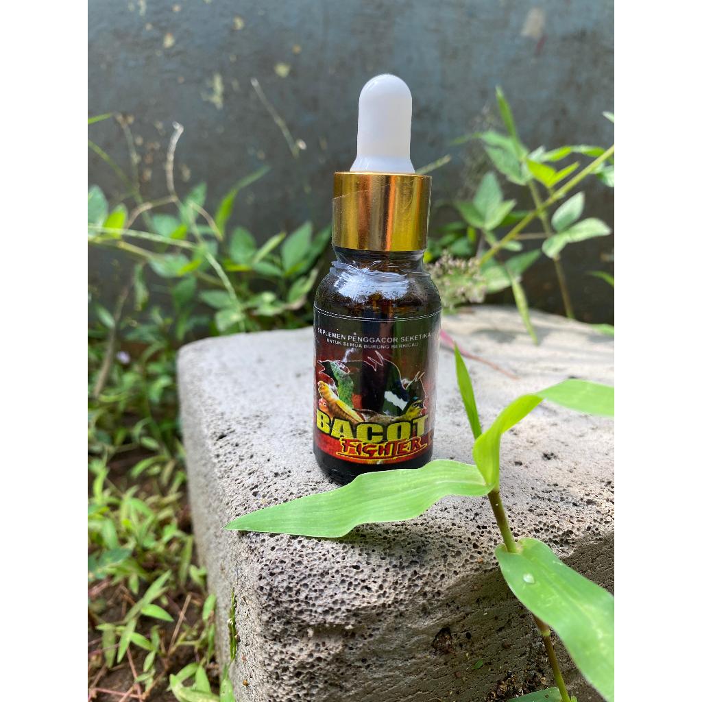 Vitamin penggacor Burung Bacot Fighter