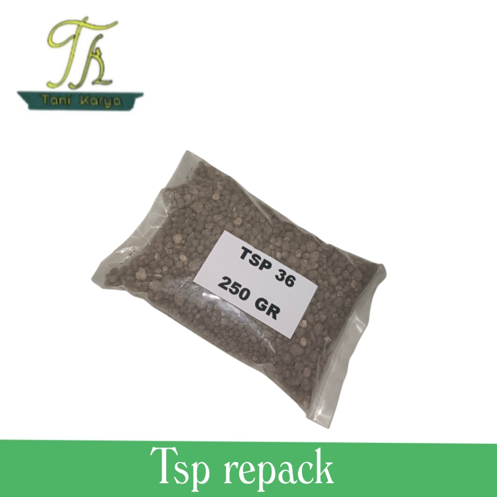 PUPUK CSP TSP 36 SP / PUPUK PEMBENAH TANAH / PUPUK DASAR / PUPUK PENYUBUR TANAH