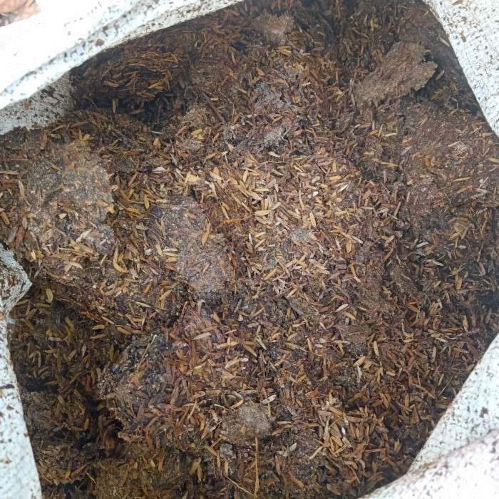 Jasa Packing Pupuk Kandang Ayam  Sekam Padi   5 KG