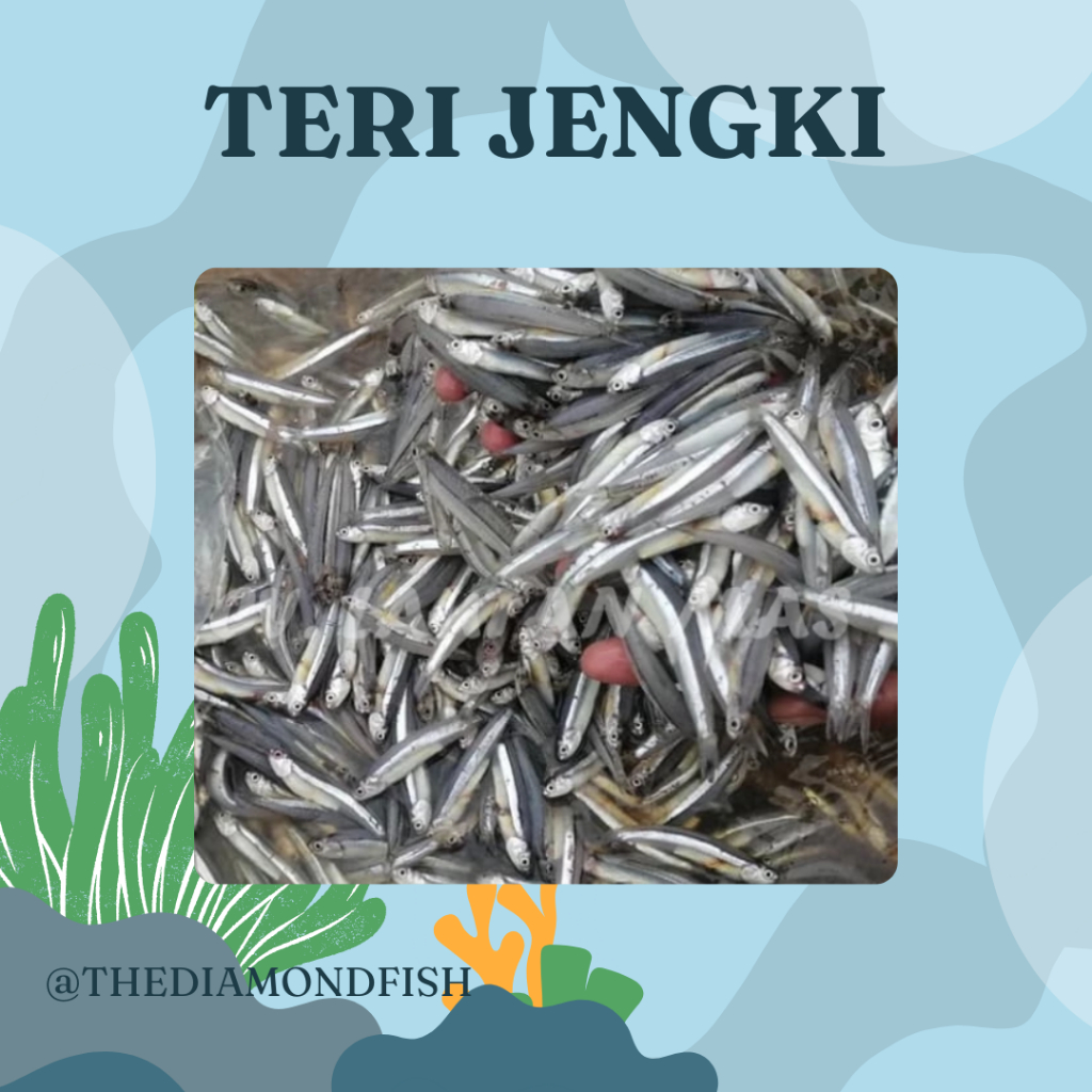 Ikan Teri Segar Ikan Teri Basah Teri Jengki 1Kg