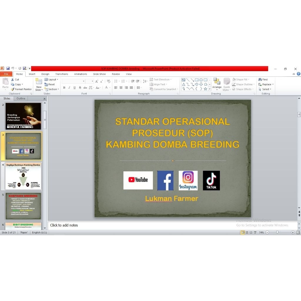 SOP BREEDING KAMBING DOMBA, BREEDING NOT BLEEDING