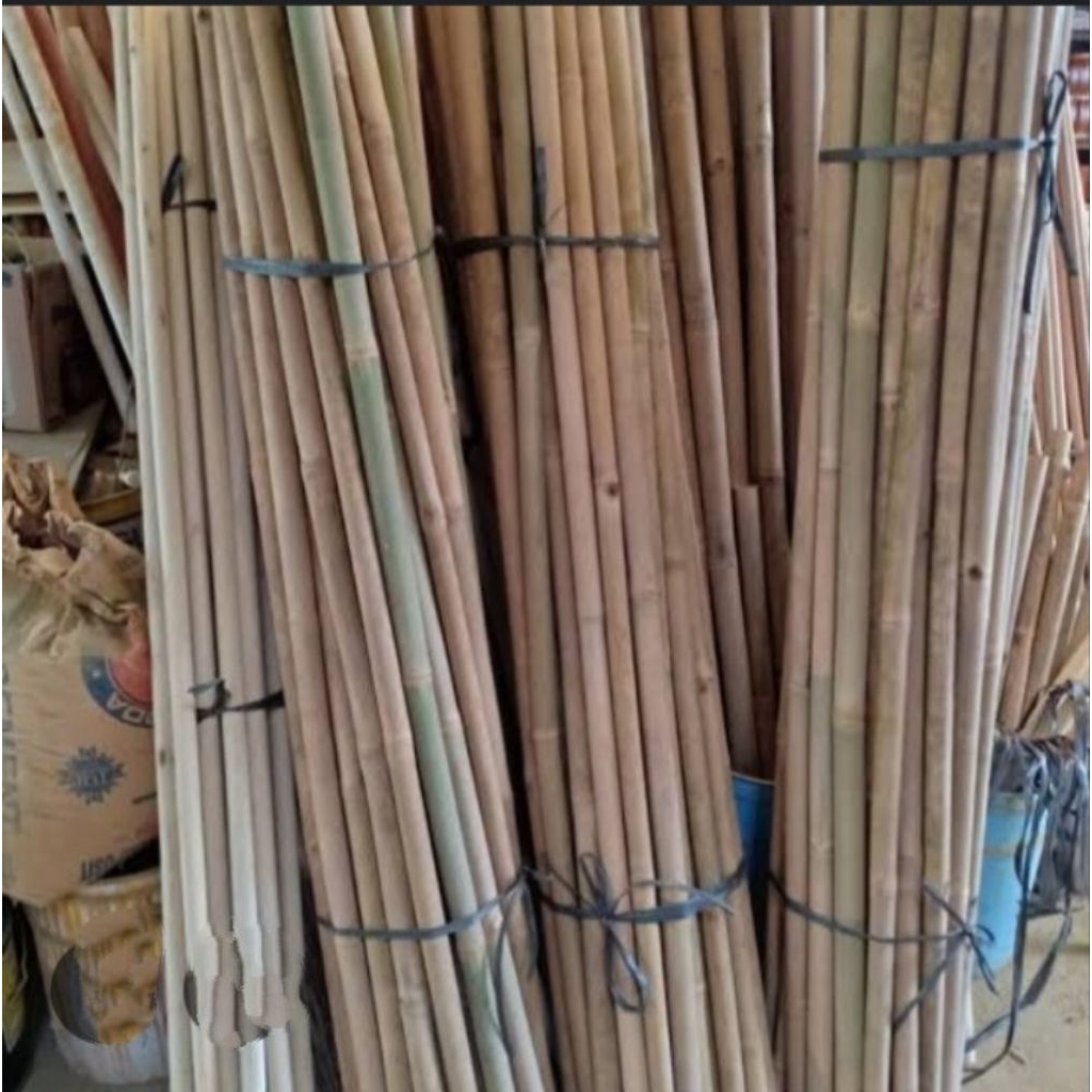 tongkat bambu pramuka anak sd
