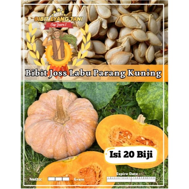 Bibit Joss Labu Kuning | Biji Benih Labu Kuning | Labu Waluh