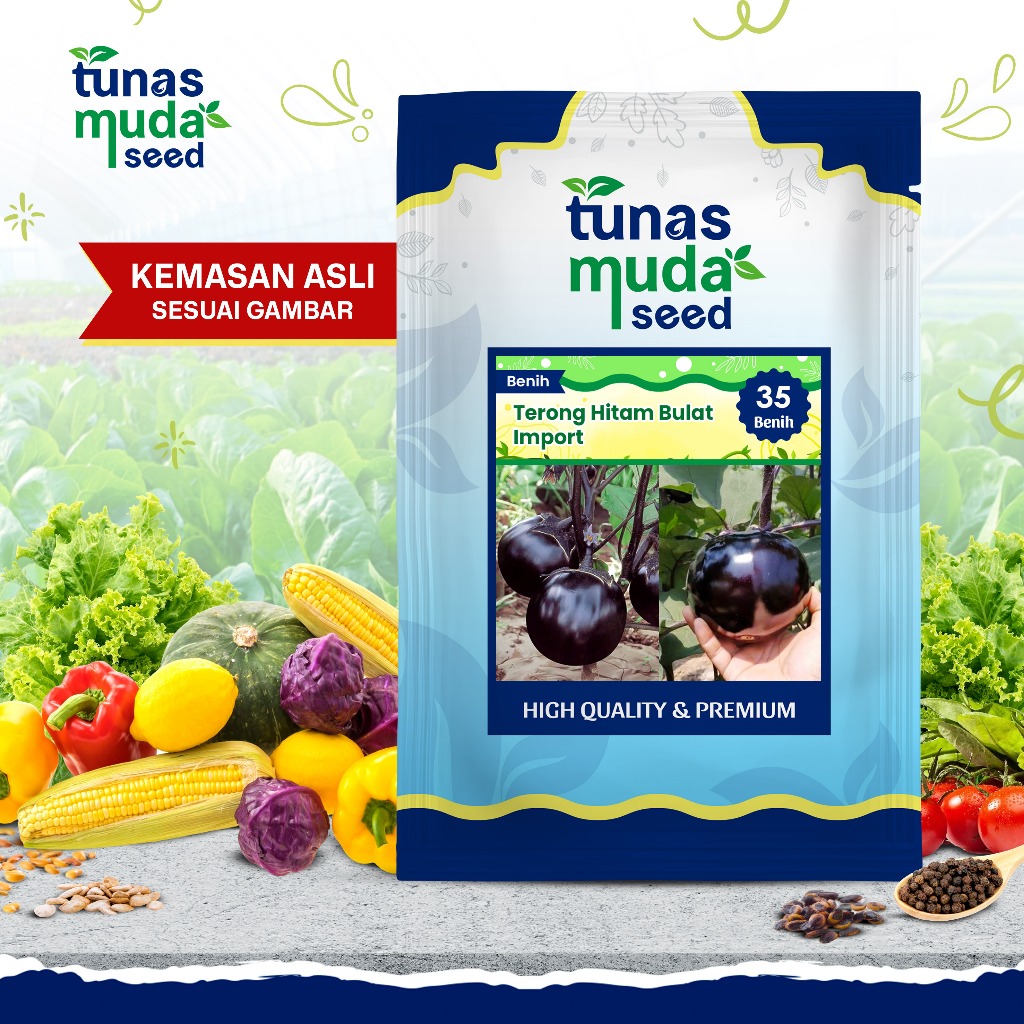 Tunas Muda Benih Terong Hitam Bulat-IMPORT (35biji)