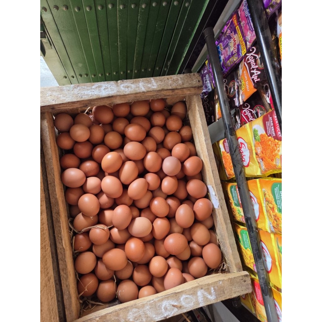 Telur Ayam Negri 1 PETI -+10KG