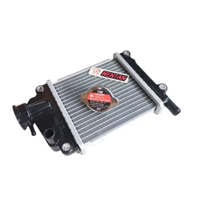 RADIATOR KOMPLIT PLUS TUTUP RADIATOR VARIO 110 VARIO CBS TECHNO 110