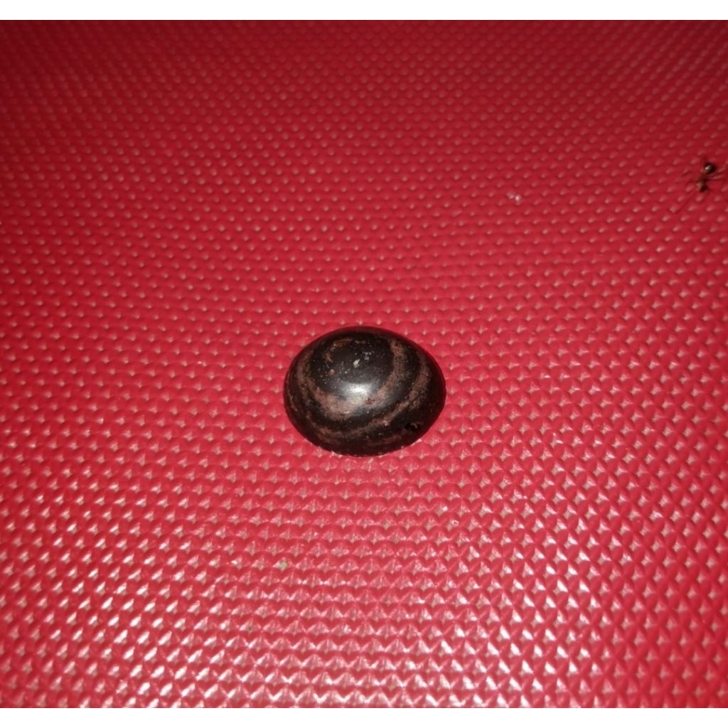 Lostune batu badar besi semeru lumajang asli pamor puser bumi urat merah badar besi semeru pamor pus