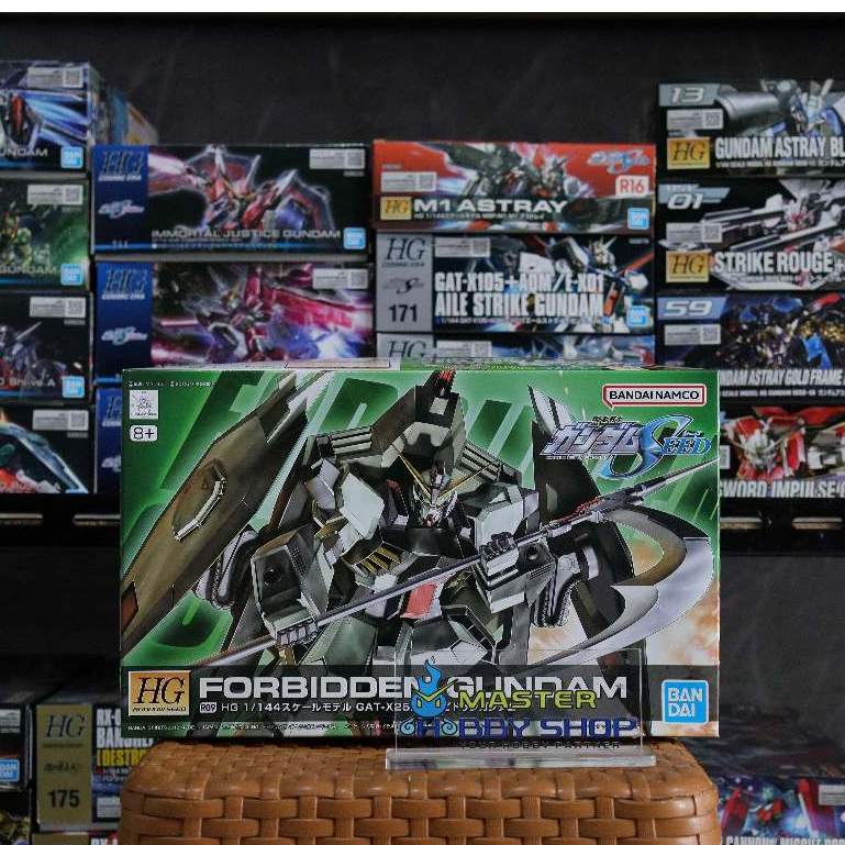 HG SEED Forbidden Gundam (Bandai 1/144)