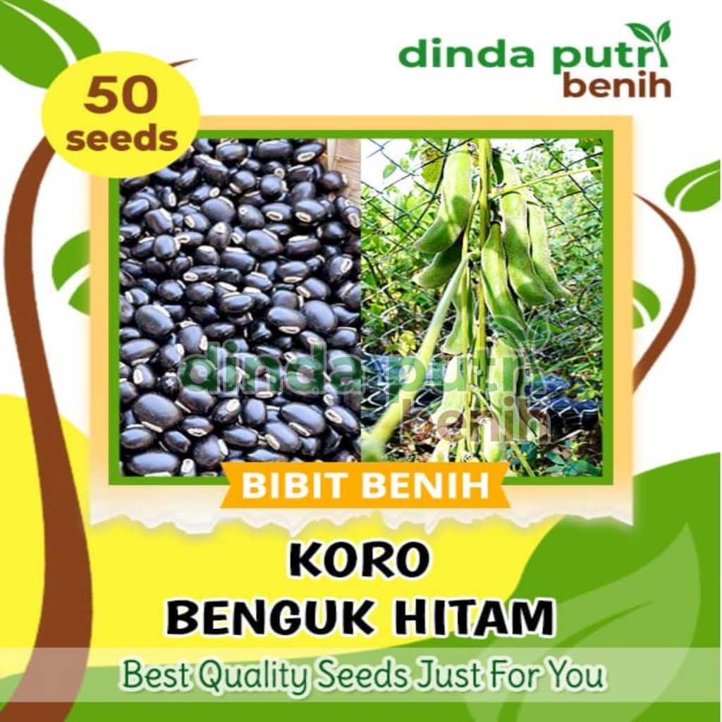 50biji benih KORO Benguk Hitam, benih black mucuna pruriens