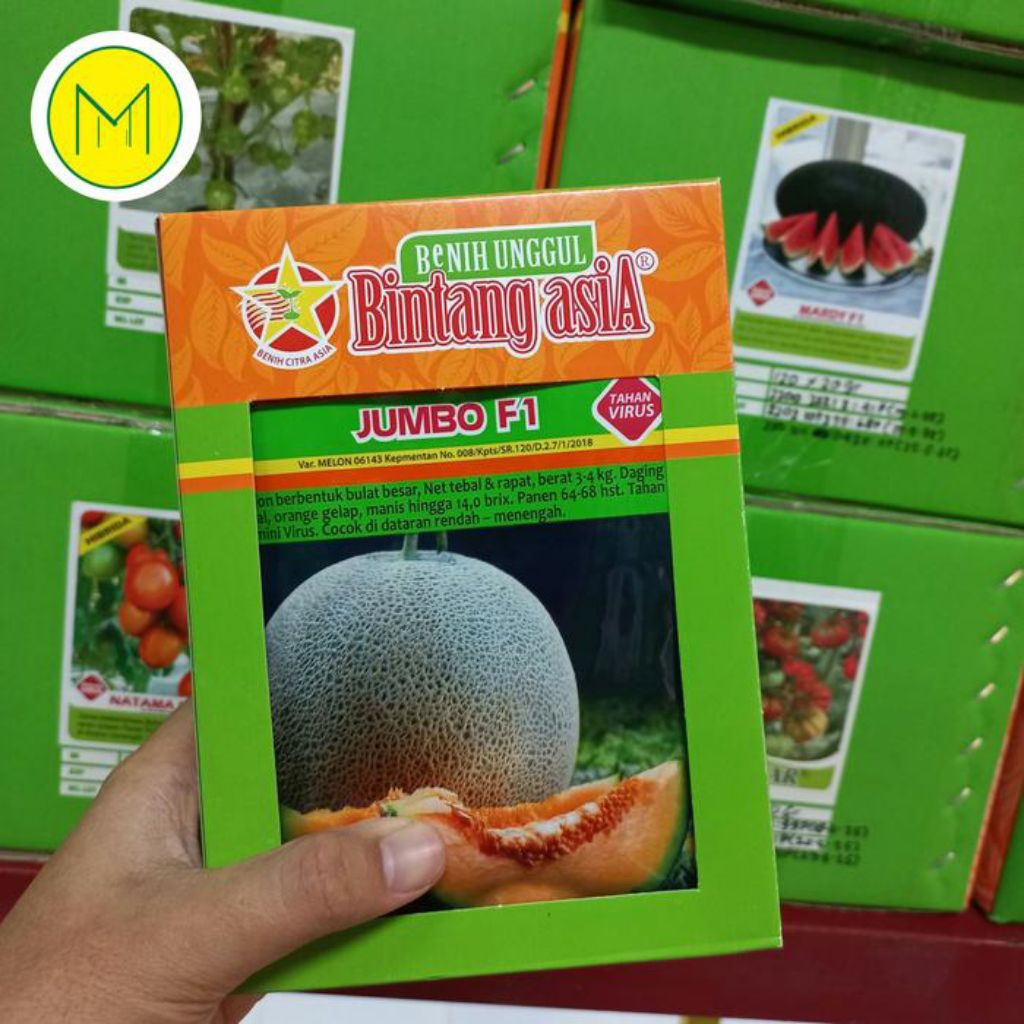BENIH MELON JUMBO F1 20 GRAM