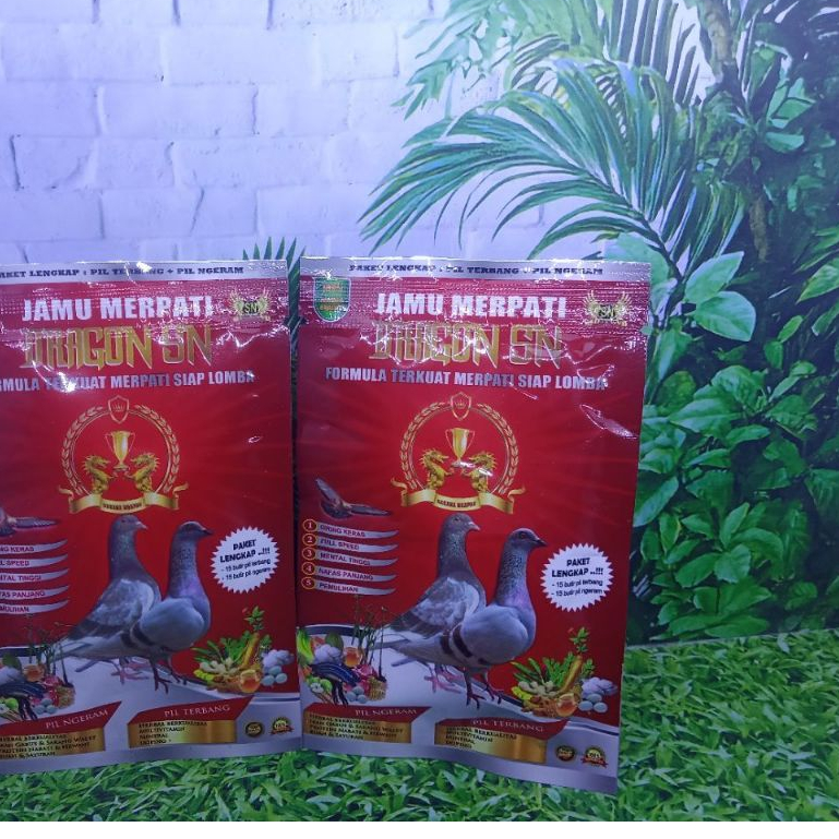 Dragon SN Merpati Jamu Merpati Balap Kolongan atau Sprint 100% Original Sasana Ngapak